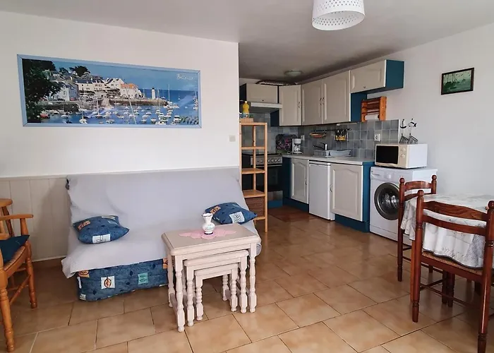 Appartement Rdc Avec Jardin Proche Du Port, Terrasse, Parking Prive, Ideal Couple/Enfant, Animaux Ok - Fr-1-418-171